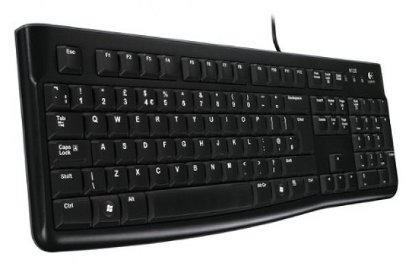 Klávesnice LOGITECH K 120 (920-002485)