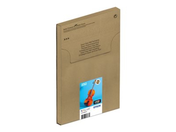 Epson 250 Multipack EasyMail - 6-balení - cerná, žlutá, azurová, purpurová, svetle azurová, svetlá fialová - originální - pouzdro - inkoustová cartridge - pro P/N: C11CL95402
