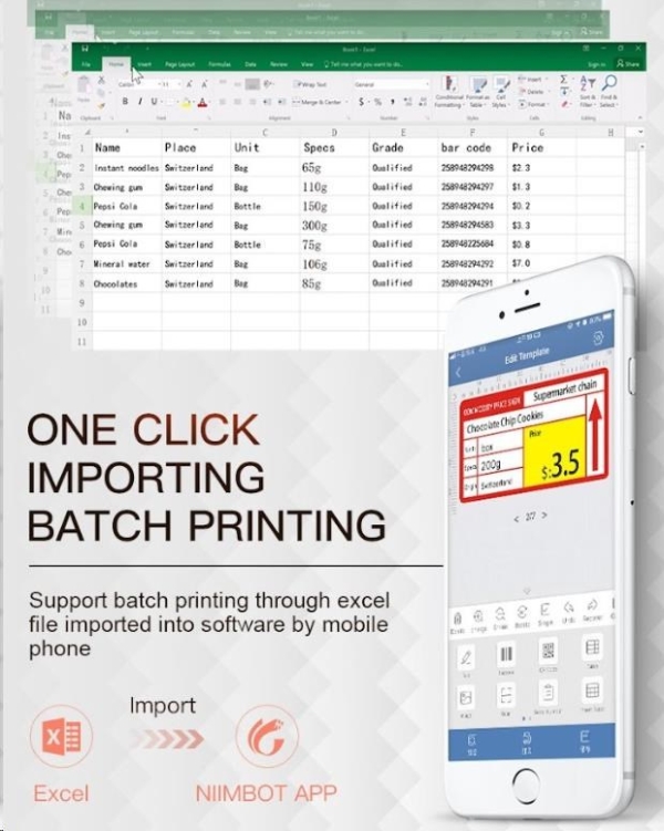 Niimbot Tiskárna štítků B21 Smart, zelená + role štítků