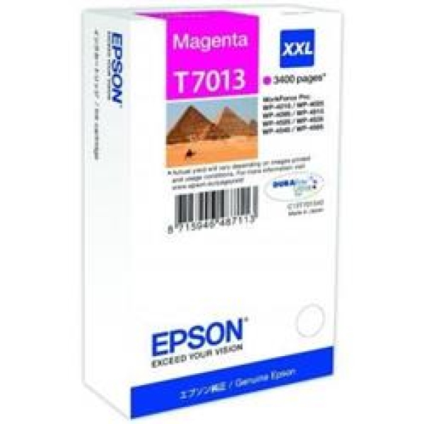 Náplň Epson C13T70134010 (XXL) purpurová
