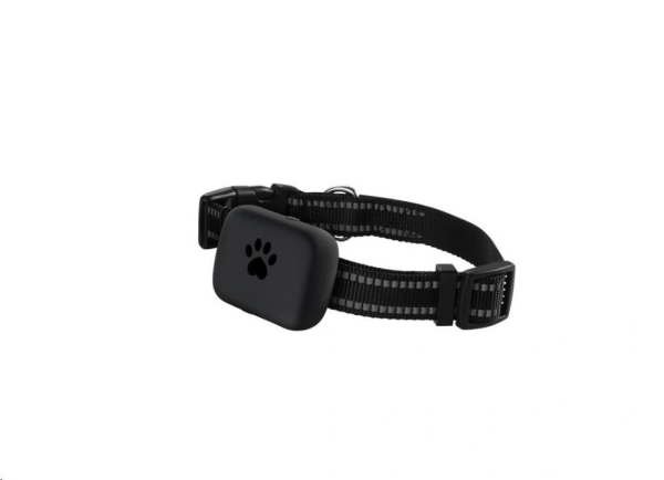 CARNEO DogSAFE+  - GPS lokátor pro psy