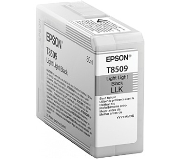 Náplň Epson C13T850900 světle světle černá