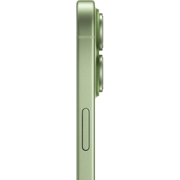 Apple iPhone 17/512GB/Sage