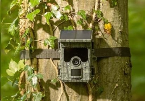 Camouflage EZ-Solar