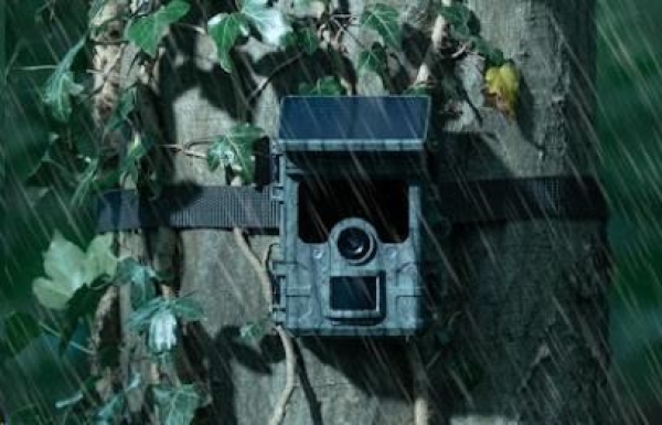 Camouflage EZ-Solar