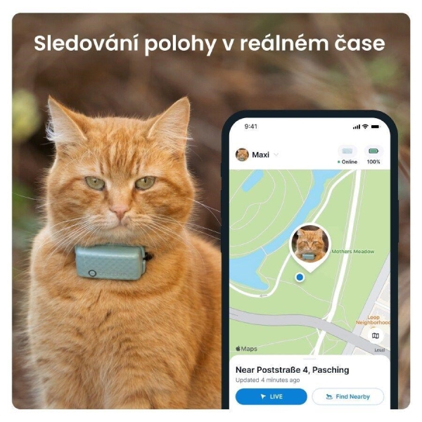 Tractive GPS CAT Mini, Mentolová