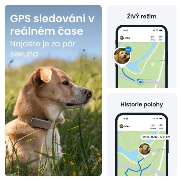 Tractive DOG 6 – GPS lokátor pro psy a monitor zdraví, hnědý