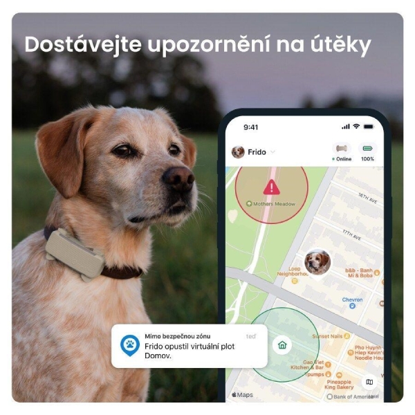 Tractive DOG 6 – GPS lokátor pro psy a monitor zdraví, hnědý