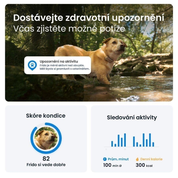 Tractive DOG 6 – GPS lokátor pro psy a monitor zdraví, hnědý