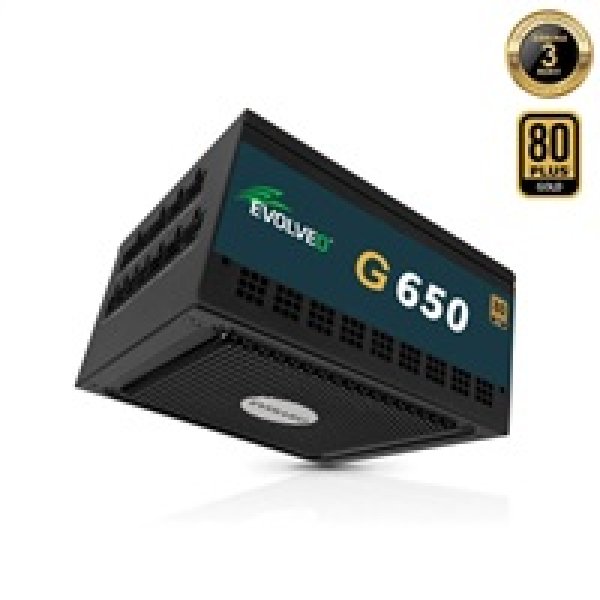 EVOLVEO G650,zdroj650W,ATX3.1,14cm,aPFC,80+GOLD,3YRW