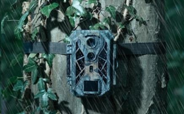 Camouflage EZ2 elite