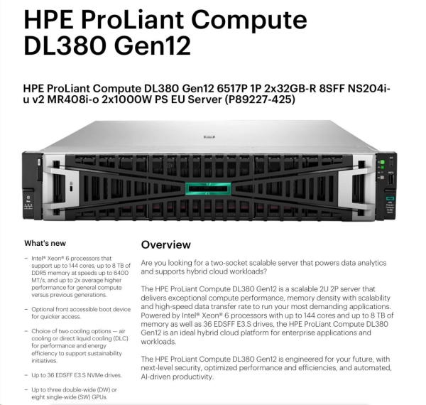 HPE PL DL380g12 6517P (3.2-4.2G/16C) 2x32G (P69727) NS204(2x480) MR408i-o 8SFF 2x1000W 2p10G-T NBD333 Smart Choice