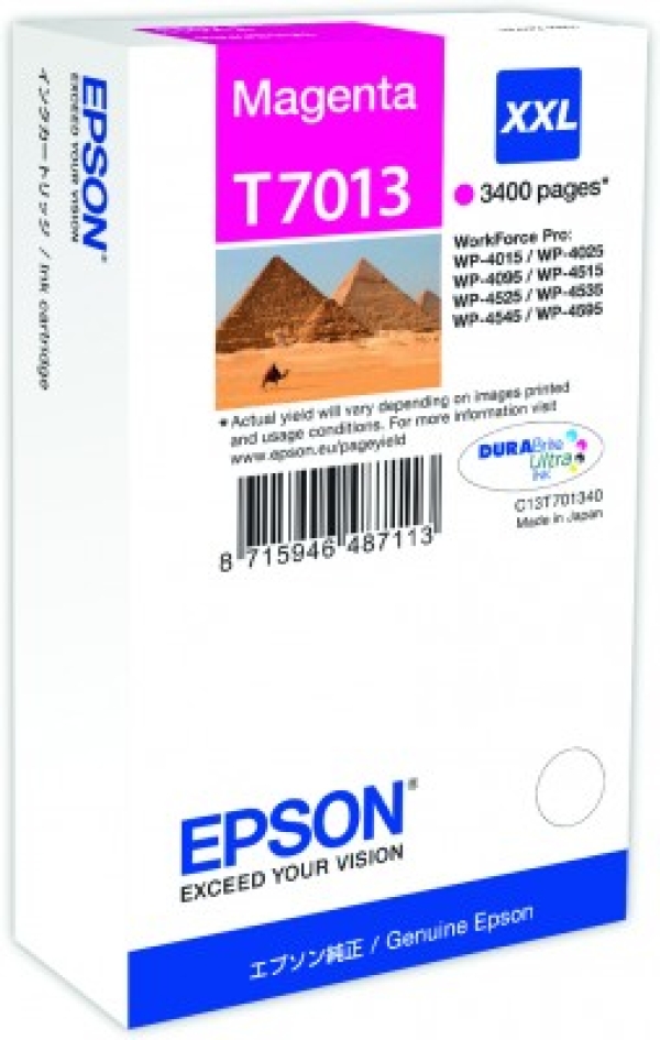 Náplň Epson C13T70134010 (XXL) purpurová