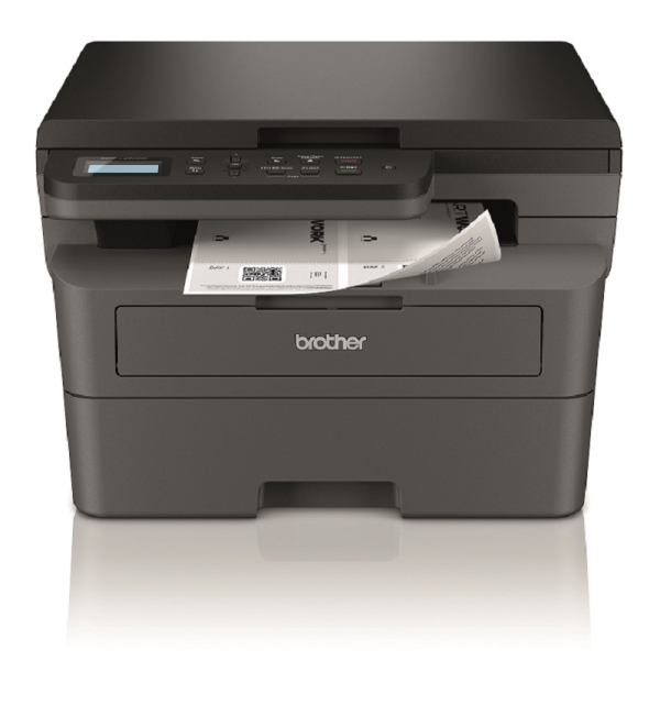 BROTHER DCP-L2600D