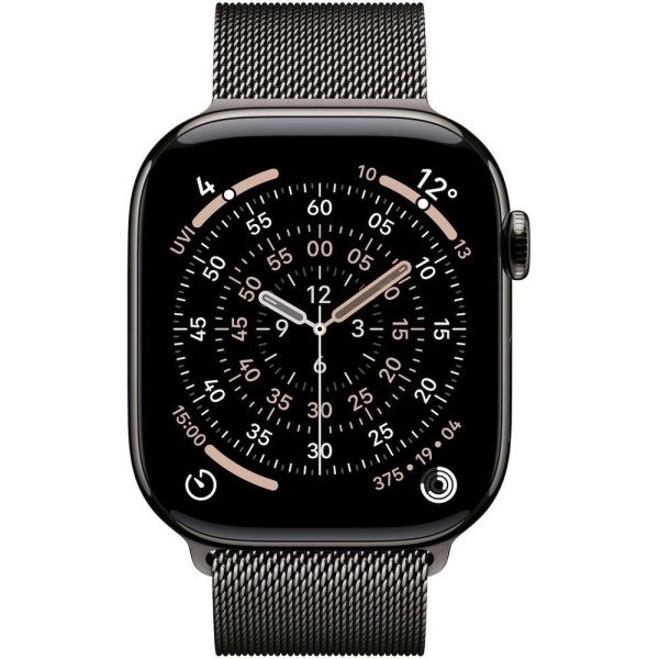 Apple Watch S11 Cell/46/Elegant Band/Slate