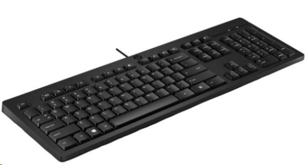 HP 125 G2 Wired USB Keyboard - německá