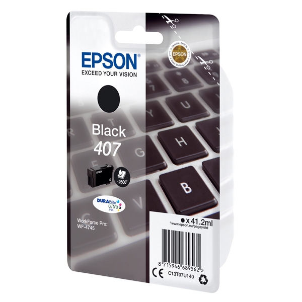 Náplň Epson 407, C13T07U140 (L) černá 