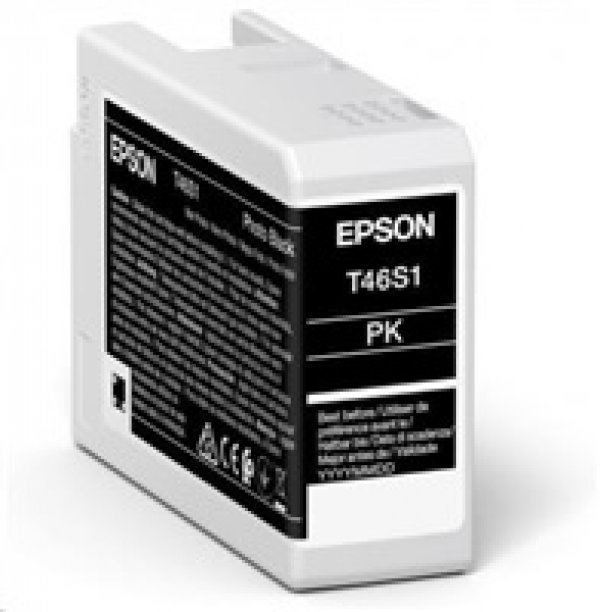 Náplň Epson C13T46S100 foto černá