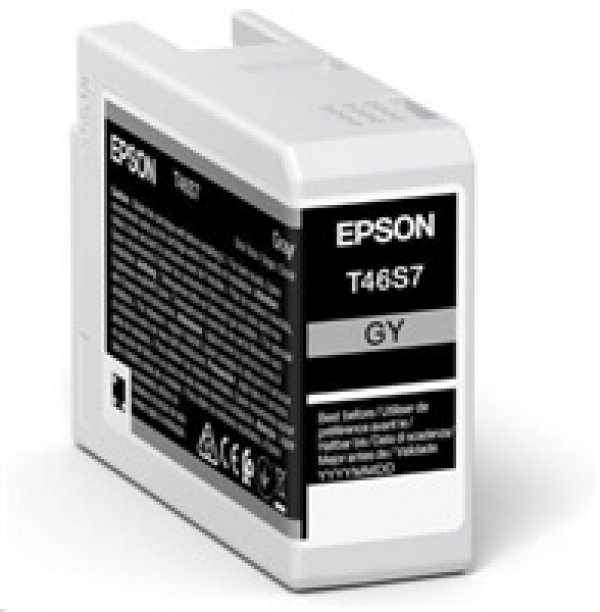 Náplň Epson C13T46S700 šedá