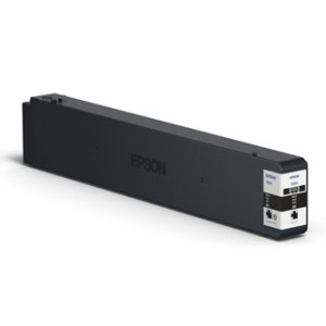 Náplň Epson C13T887100 černá