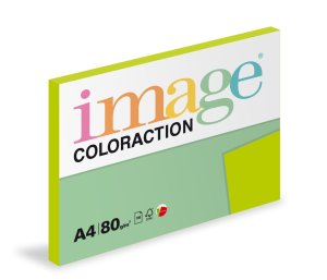 Xerografický papír Coloraction, Java, A4, 80 g/m2, středně zelený, 100 listů, vhodný pro inkoustový tisk