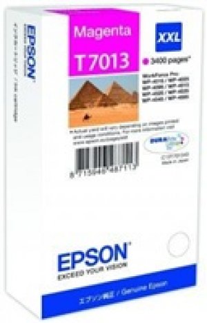 Náplň Epson C13T70134010 (XXL) purpurová