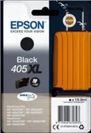 Náplň Epson 405XL, C13T05H14010 černá 
