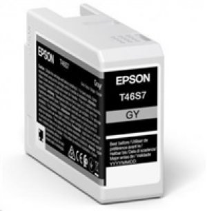 Náplň Epson C13T46S700 šedá
