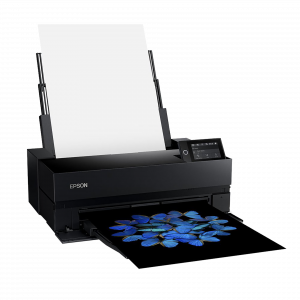 Epson SureColor SC-P900 Mirage